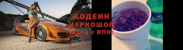 сатива Гусиноозёрск