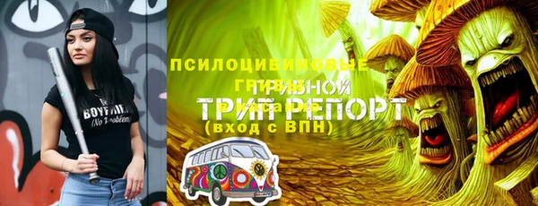 сатива Гусиноозёрск