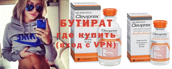сатива Гусиноозёрск